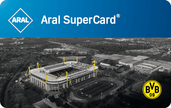 Borussia Dortmund Individueller Wert - Signal Iduna Park