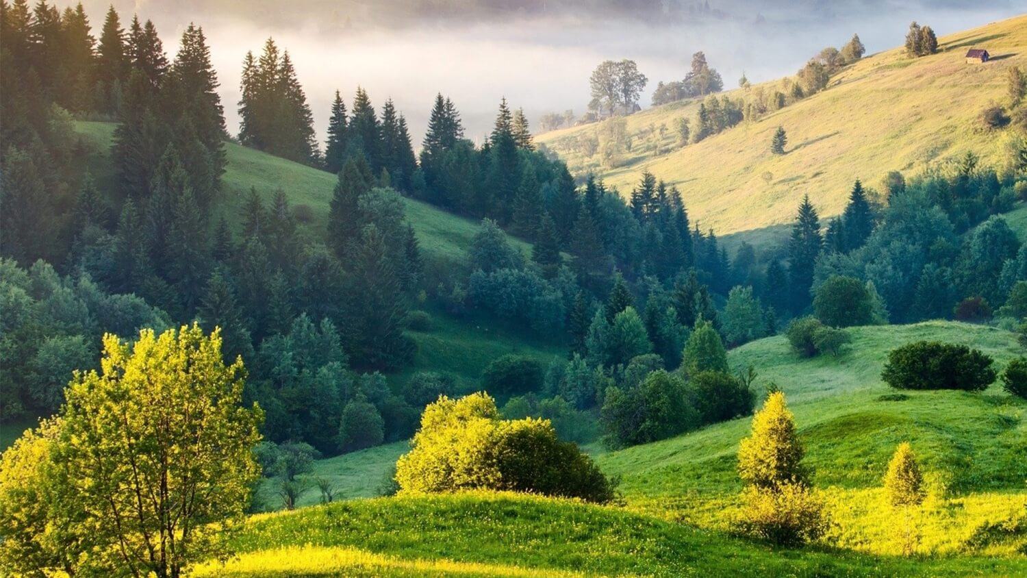 Bild zur Kategorie Städte & Landschaft