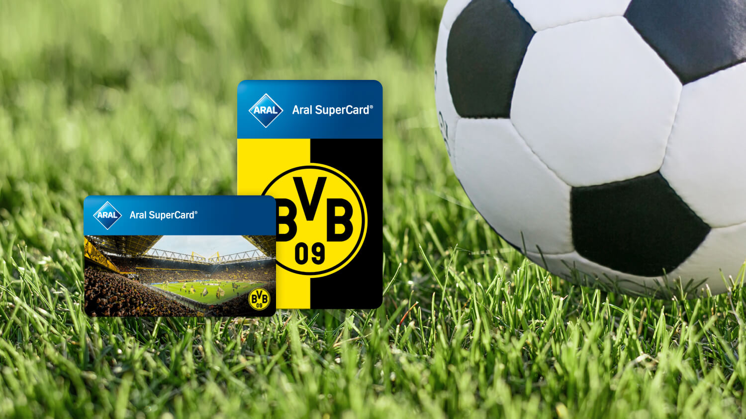 Bild zur Kategorie Sport