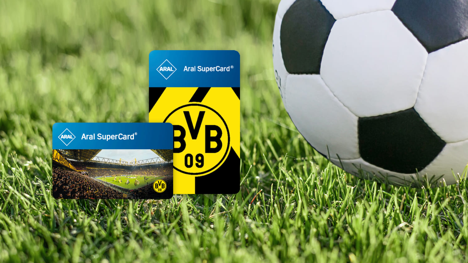 Bild zur Kategorie Sport